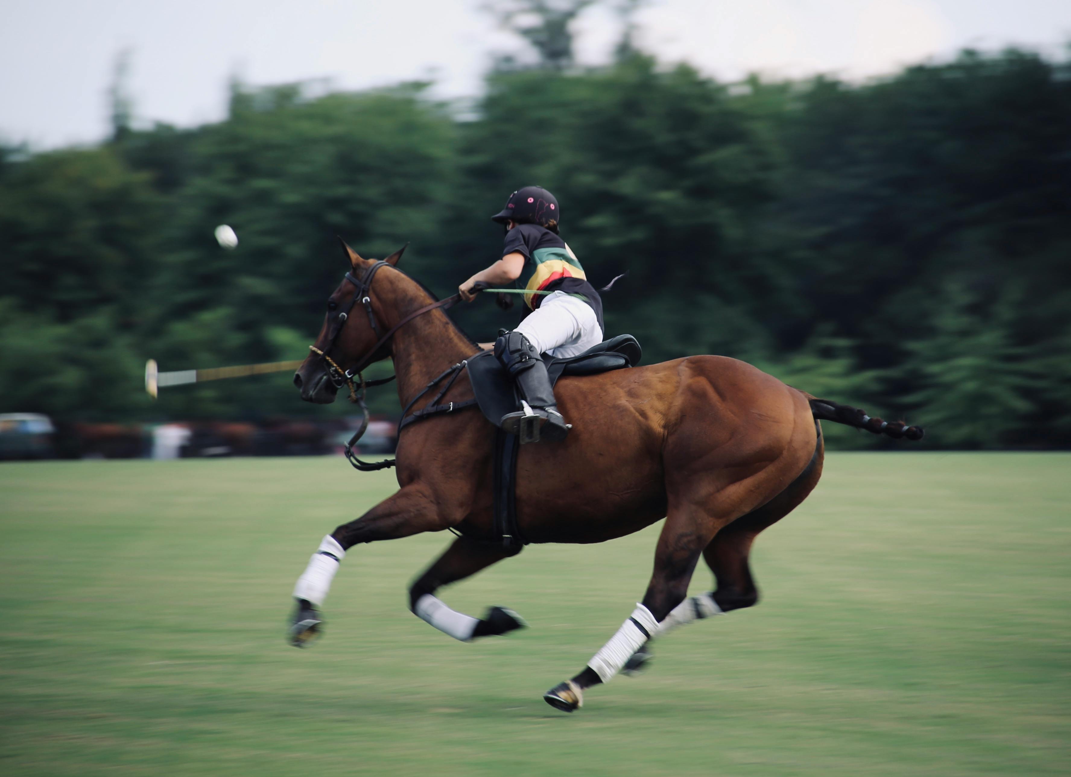 Polo at Arelauquen