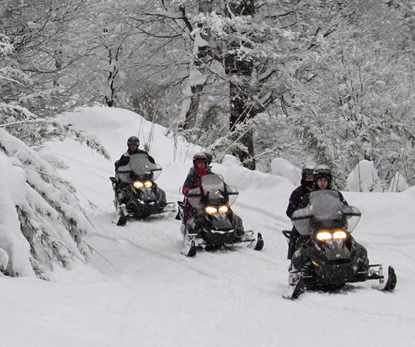 Snowmobiles